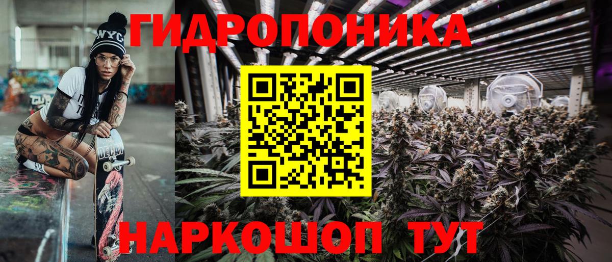 Бошки Шишки VHQ  Вход с VPN  Марихуана SATIVA & INDICA  Котлас  Бошки Шишки MAZAR 